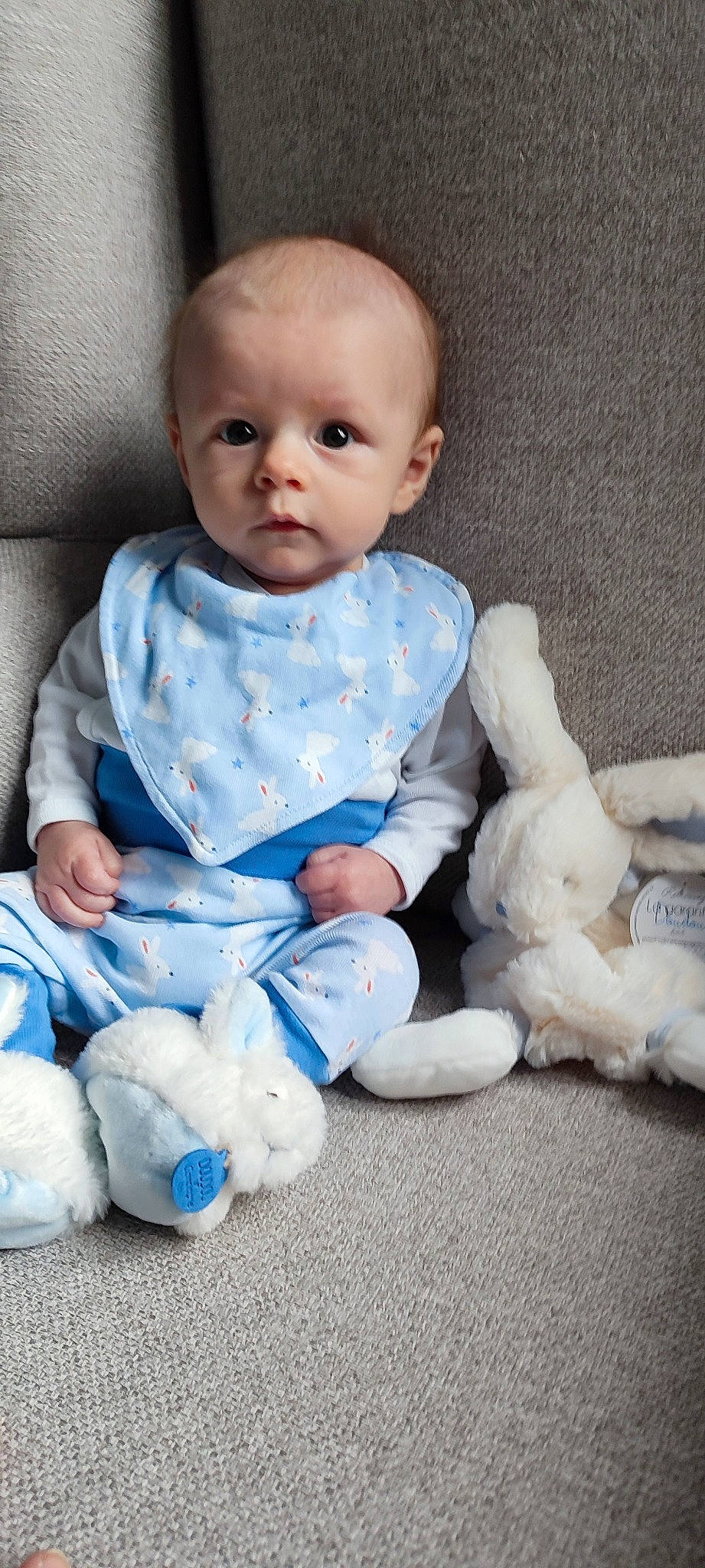 Hippolyte a rejoint le concours — aidez-le/la à gagner de superbes lots ! arm, azure, baby, baby_toddler_clothing, cheek, child, comfort, electric_blue, eye, face, flash_photography, fur, head, iris, pattern, person, portrait_photography, sitting, skin, sleeve