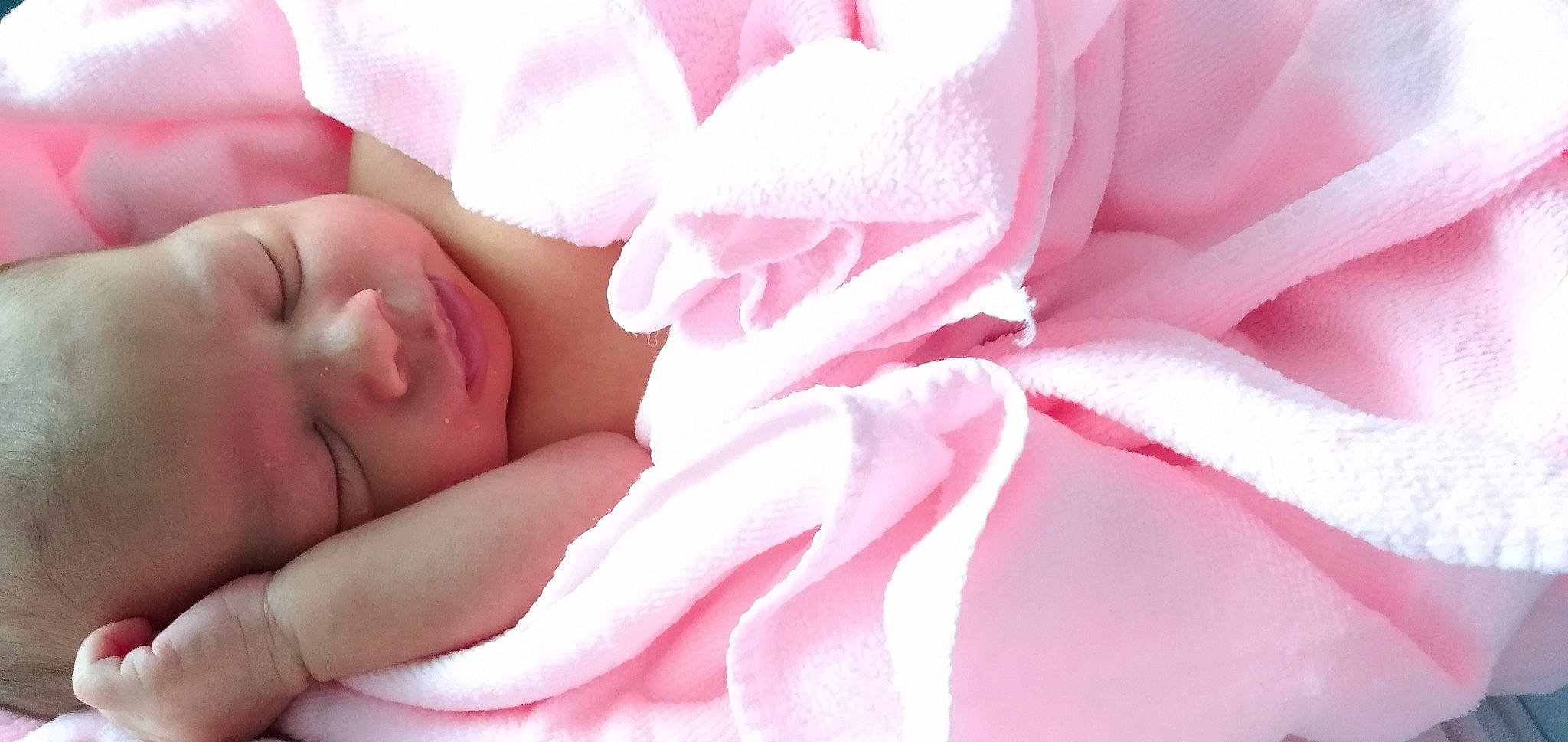 Hélène participe au concours pour gagner de l'argent avec cette photo : baby, child, close_up, flower, garden_roses, hand, nail, person, petal, photography, pink, plant, rose, rose_family, skin, toddler