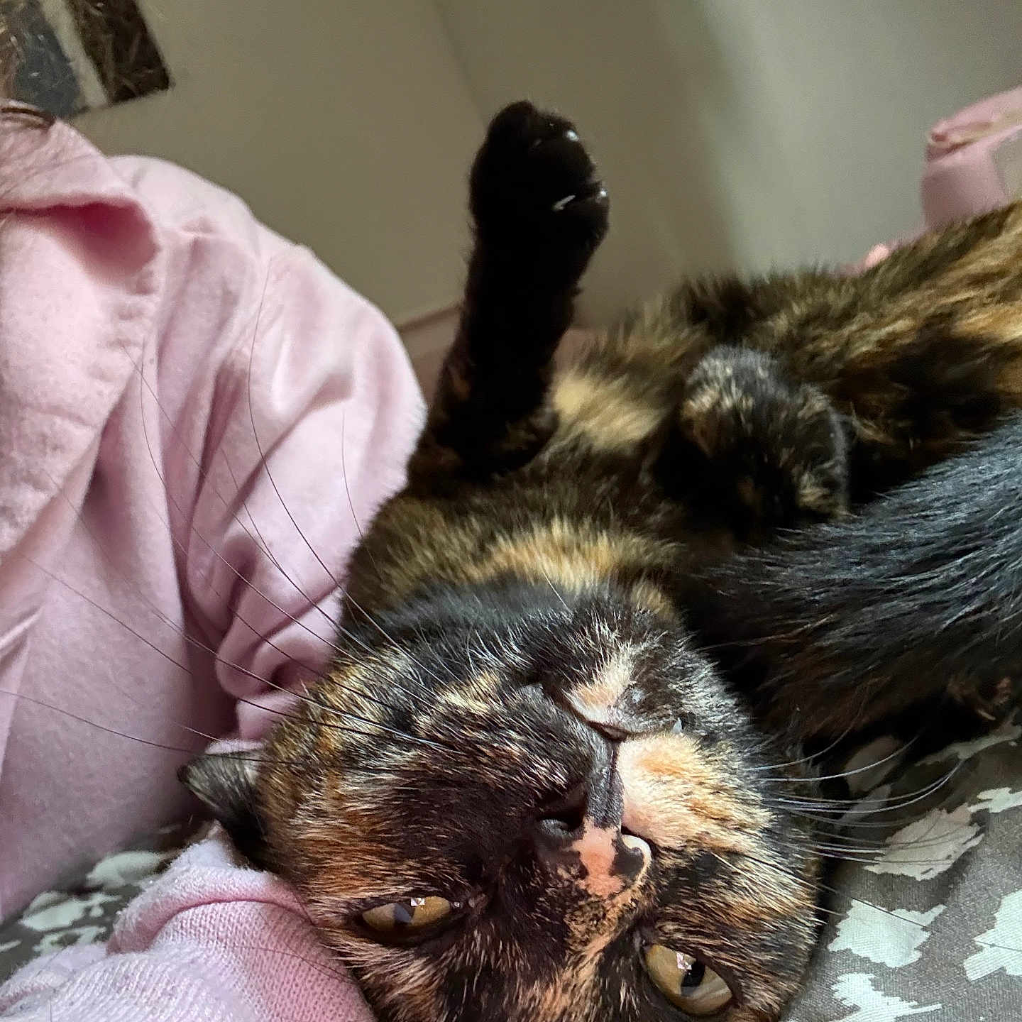Mittens