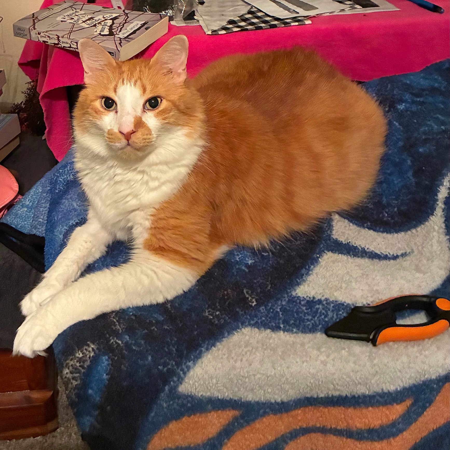 Leo