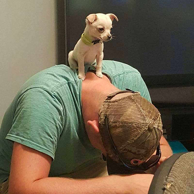 Buddy