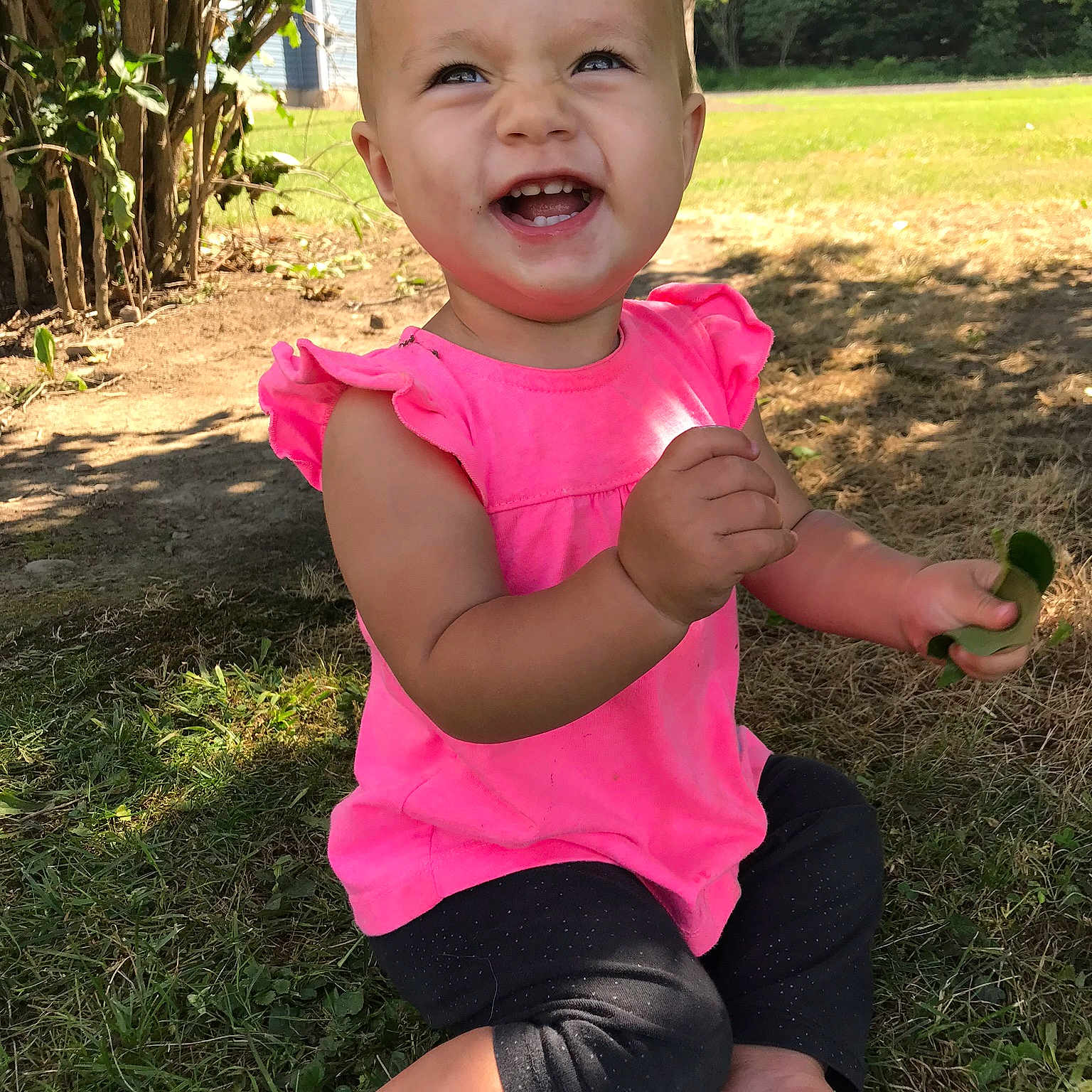 Alaina