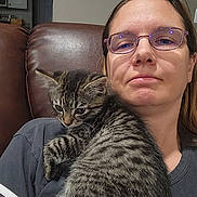 Scooter is registered to the contest to win money with this photo: woman, glasses, kitten, cat, tabby, pet, indoor, leather_chair, person, shoulder, closeup, casual_clothing, furniture, home, portrait, relaxed, animal, fur, face, comfort