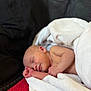 newborn, baby, sleeping, blanket, couch, soft, cozy, infant, peaceful, resting, skin, wrapped, indoors, comfort, closeup, portrait, child, toddler, relaxation, quiet