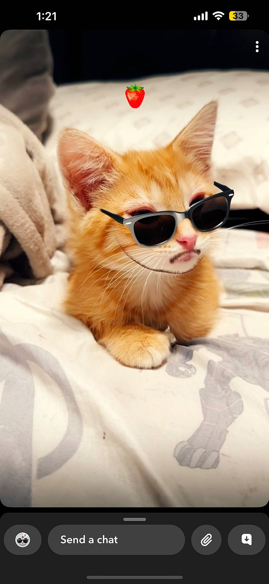 Canelo joined the competition — help win amazing prizes! carnivore, cat, claw, comfort, domestic_short_haired_cat, eyewear, fawn, felidae, fur, linens, paper_bag, paw, peach, pet_supply, small_to_medium_sized_cats, snout, tail, terrestrial_animal, whiskers, wood