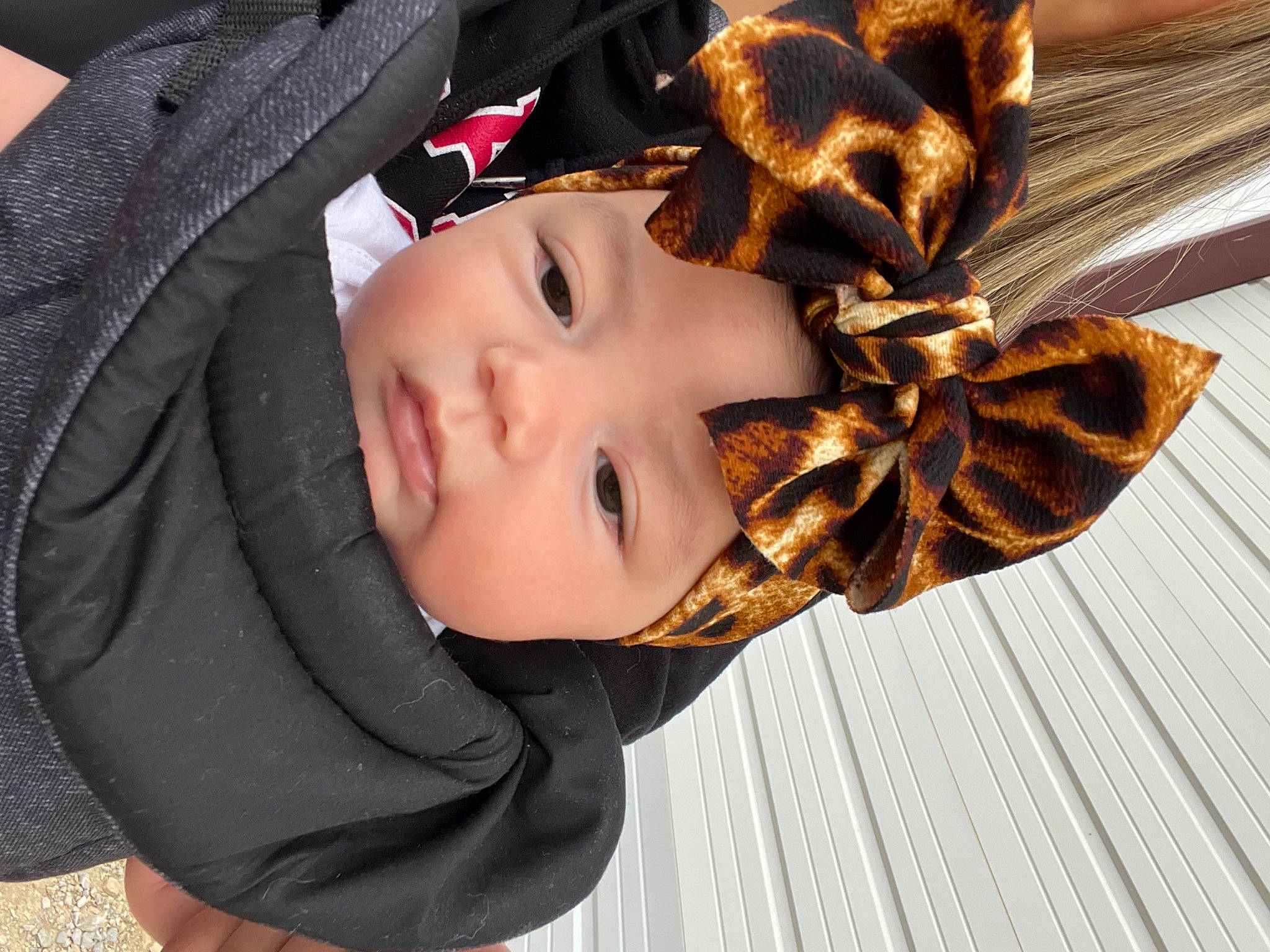 Baylor joined the competition — help win amazing prizes! baby, brown_hair, child, eyewear, fashion_accessory, fashion_design, fur, hair_accessory, hair_coloring, happy, hat, headband, headgear, outerwear, pattern, person, portrait_photography, street_fashion, toddler, winter