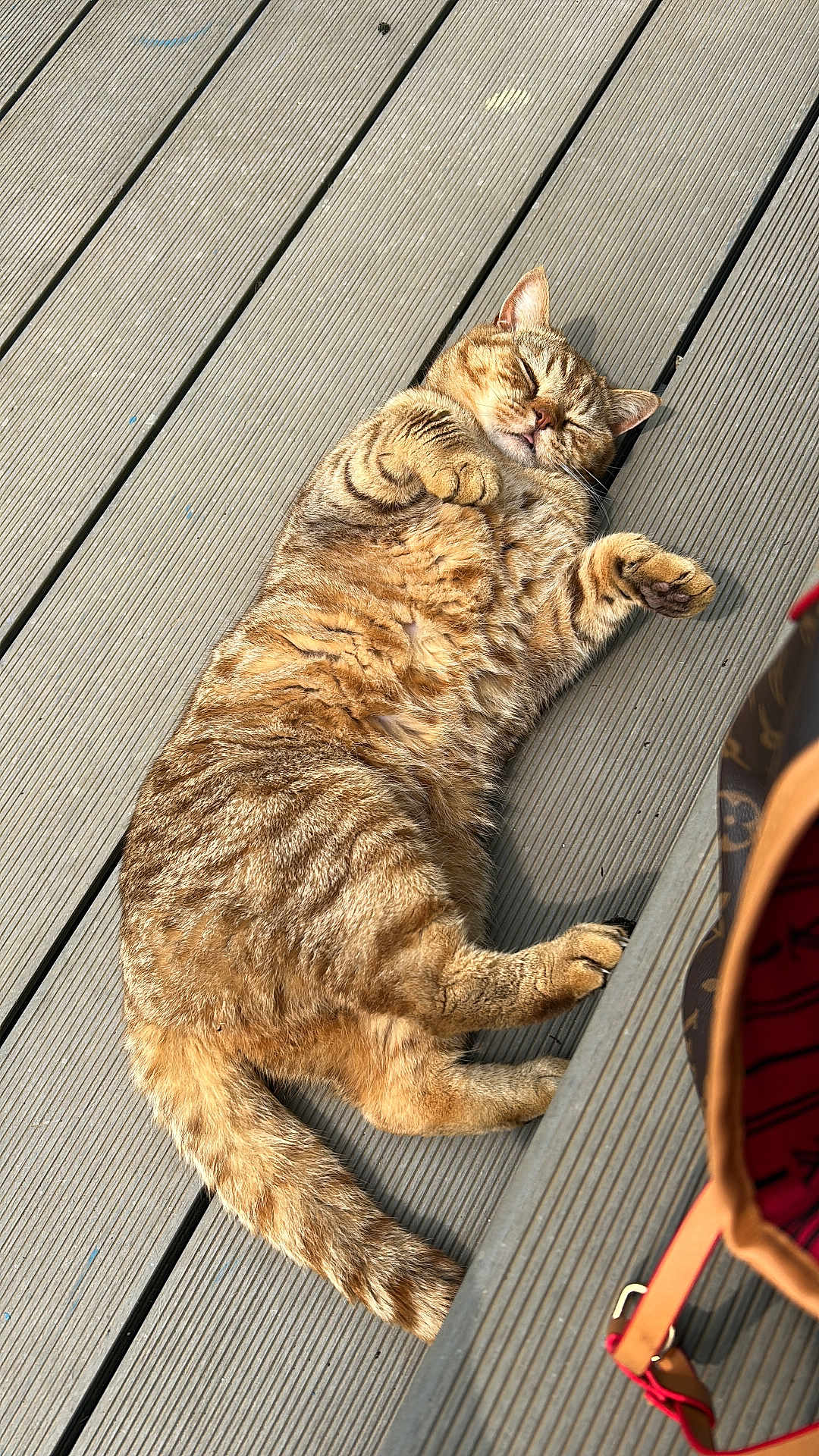 Tigger