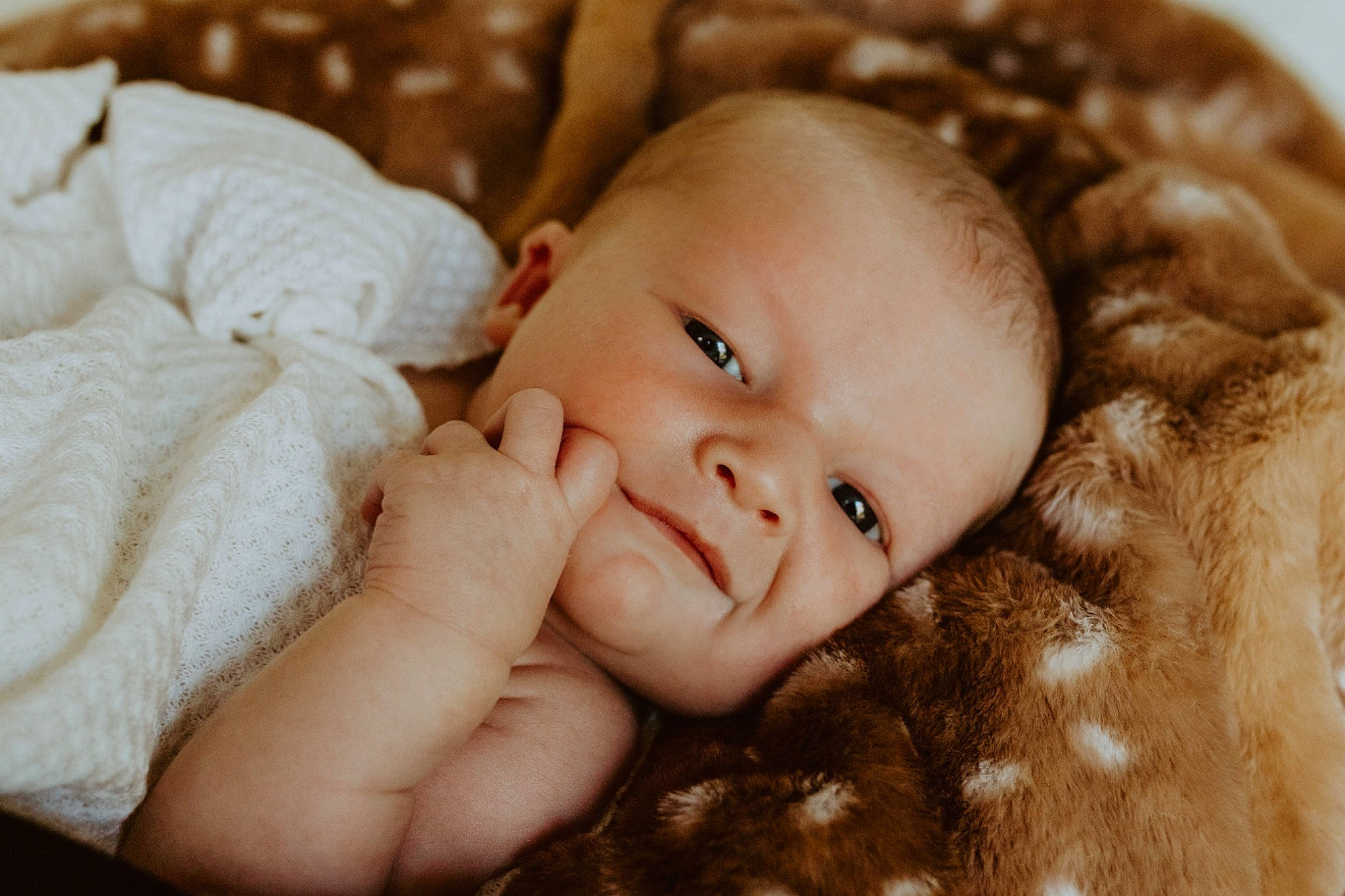 Stetson joined the competition — help win amazing prizes! baby, cheek, comfort, eye, finger, flash_photography, gesture, grass, happy, head, iris, lip, mouth, nail, nose, people_in_nature, person, skin, smile, thumb