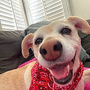 Molly joined the competition — help win amazing prizes!