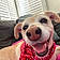 Molly