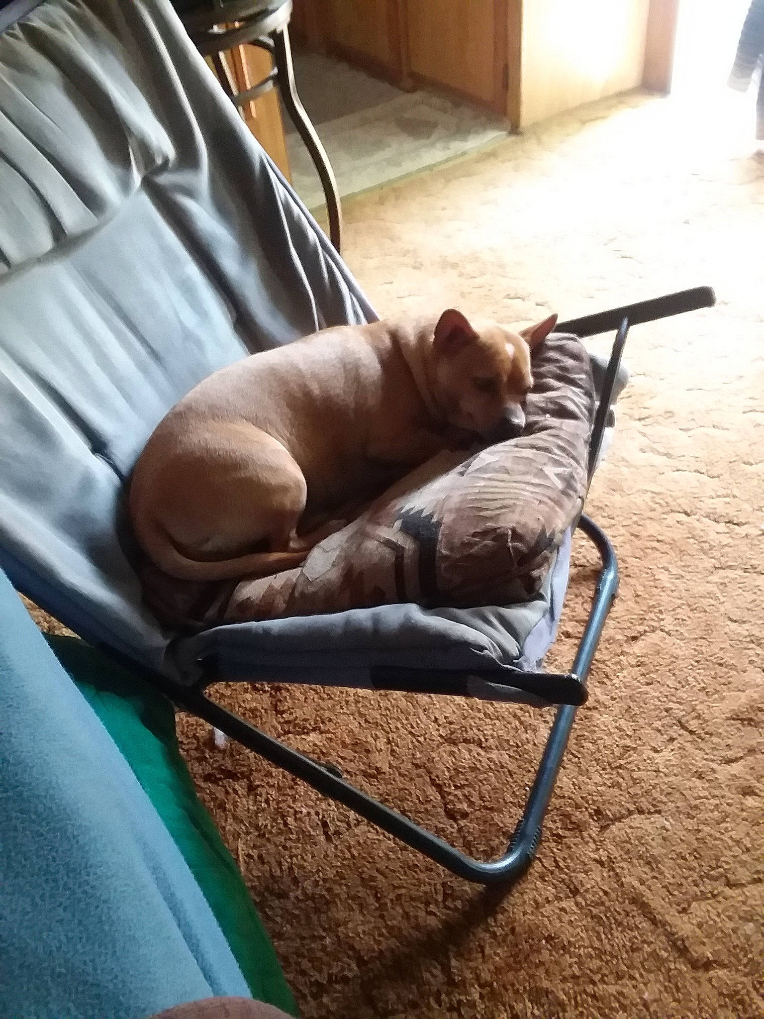 Tacojohn joined the competition — help win amazing prizes! chair, comfort, furniture, leg, sitting, sporting_group