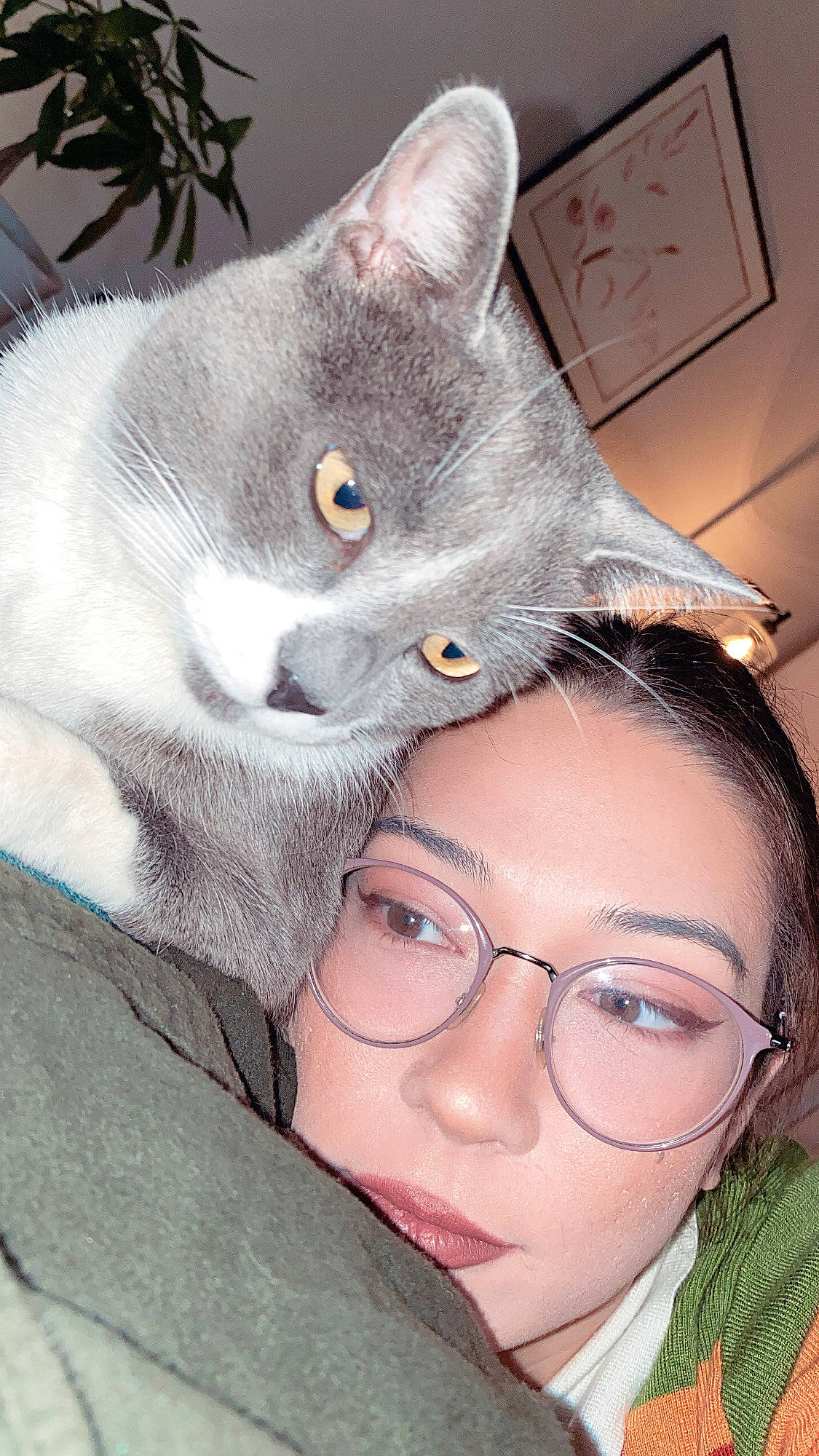 Clover joined the competition — help win amazing prizes! carnivore, cat, domestic_short_haired_cat, ear, eyelash, eyewear, felidae, fur, gesture, glasses, grey, happy, iris, russian_blue, selfie, small_to_medium_sized_cats, vision_care, whiskers
