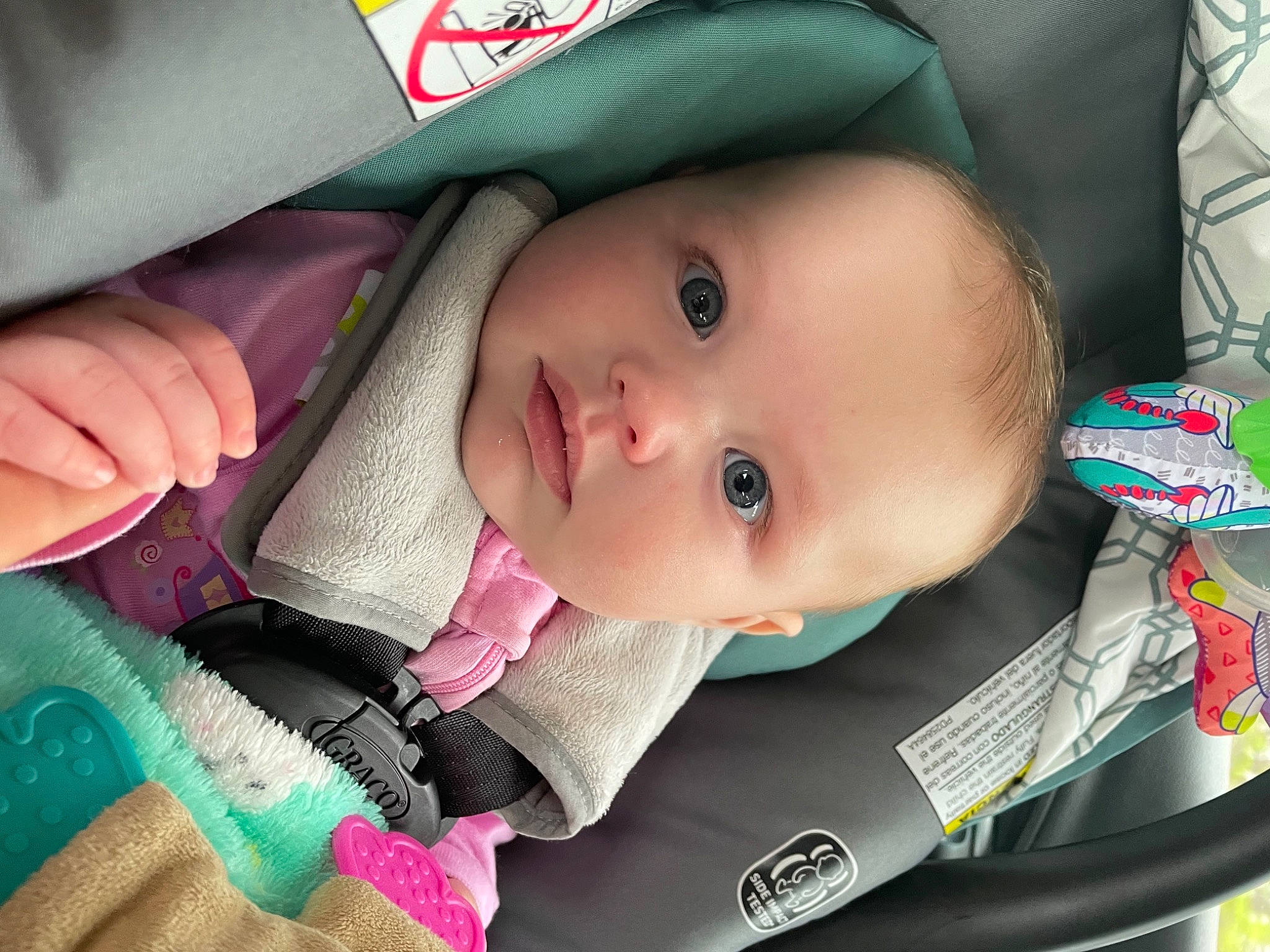 Miranda is registered to the contest to win money with this photo: baby, baby_carriage, baby_products, baby_safety, baby_toddler_clothing, cheek, child, chin, comfort, eyebrow, eyelash, facial_expression, hat, iris, lip, mouth, nose, person, pink, skin