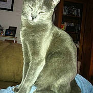 Motorboat is registered to the contest to win money with this photo: