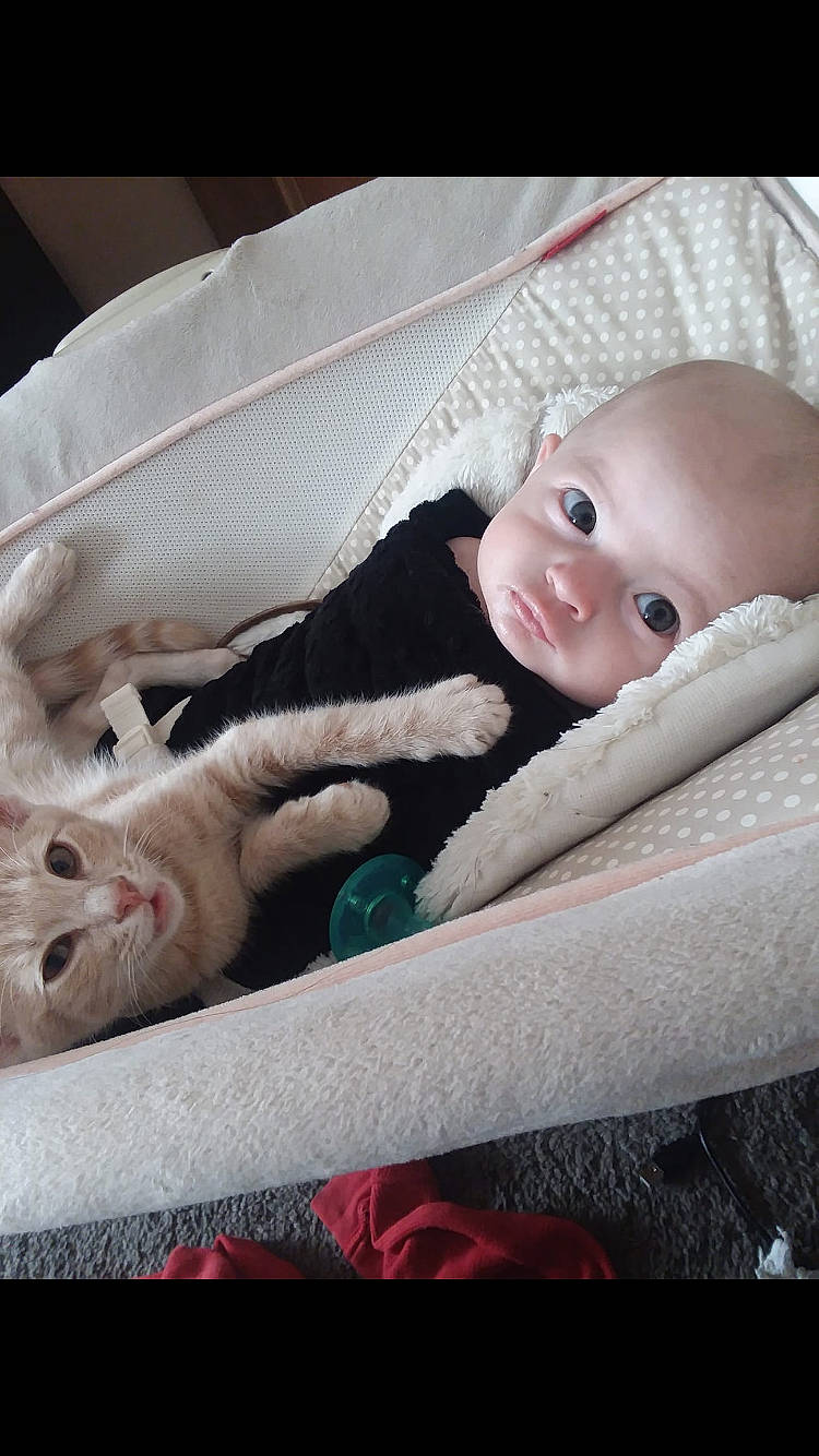 Susan joined the competition — help win amazing prizes! baby, cheek, child, eye, head, mouth, person, product, skin, toddler