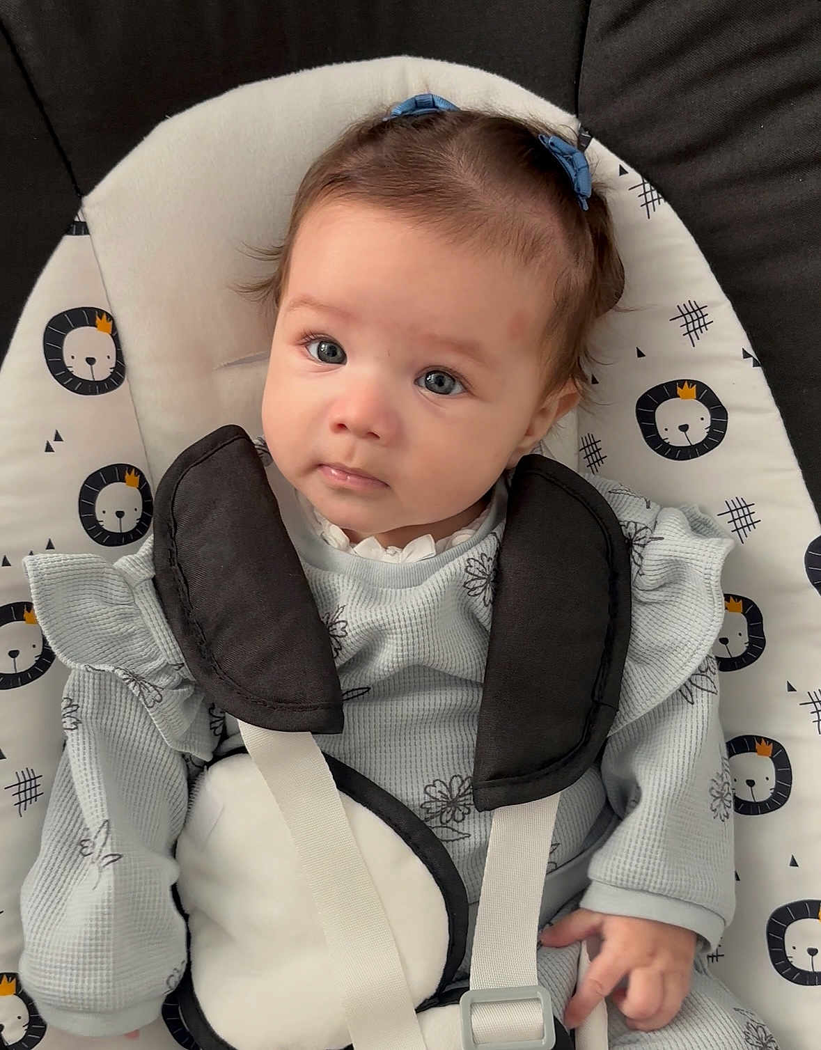 Alicia is registered to the contest to win money with this photo: baby, child, infant, blue_eyes, hair_bows, baby_seat, lion_pattern, seatbelt, clothing, sitting, portrait, cute, indoor, closeup, face, person, young_child, childcare, soft_toys, adorable