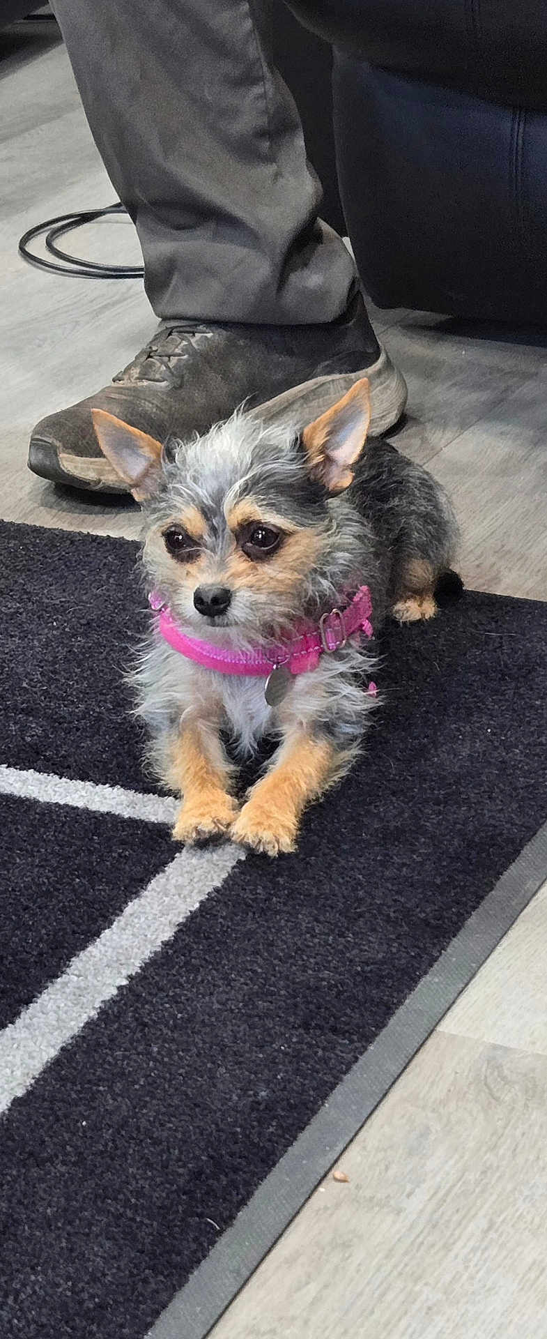 Coco
