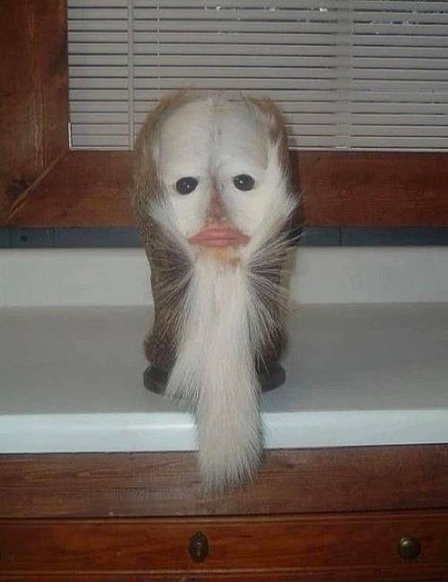 Gary The Sussy Gyatt Ohio Rizzer