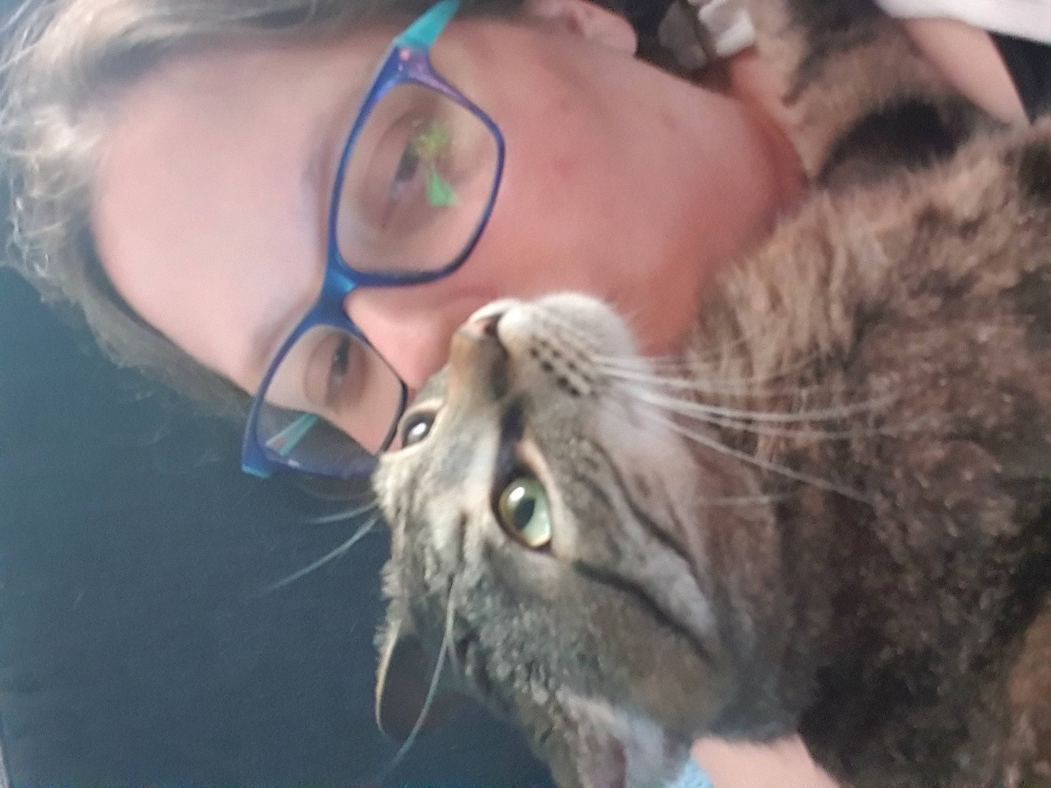 Ara Et Toto participe au concours pour gagner de l'argent avec cette photo : carnivore, cat, comfort, domestic_short_haired_cat, ear, eyewear, facial_hair, fawn, felidae, fur, glasses, nose, paw, selfie, small_to_medium_sized_cats, snout, terrestrial_animal, vision_care, whiskers, wildlife