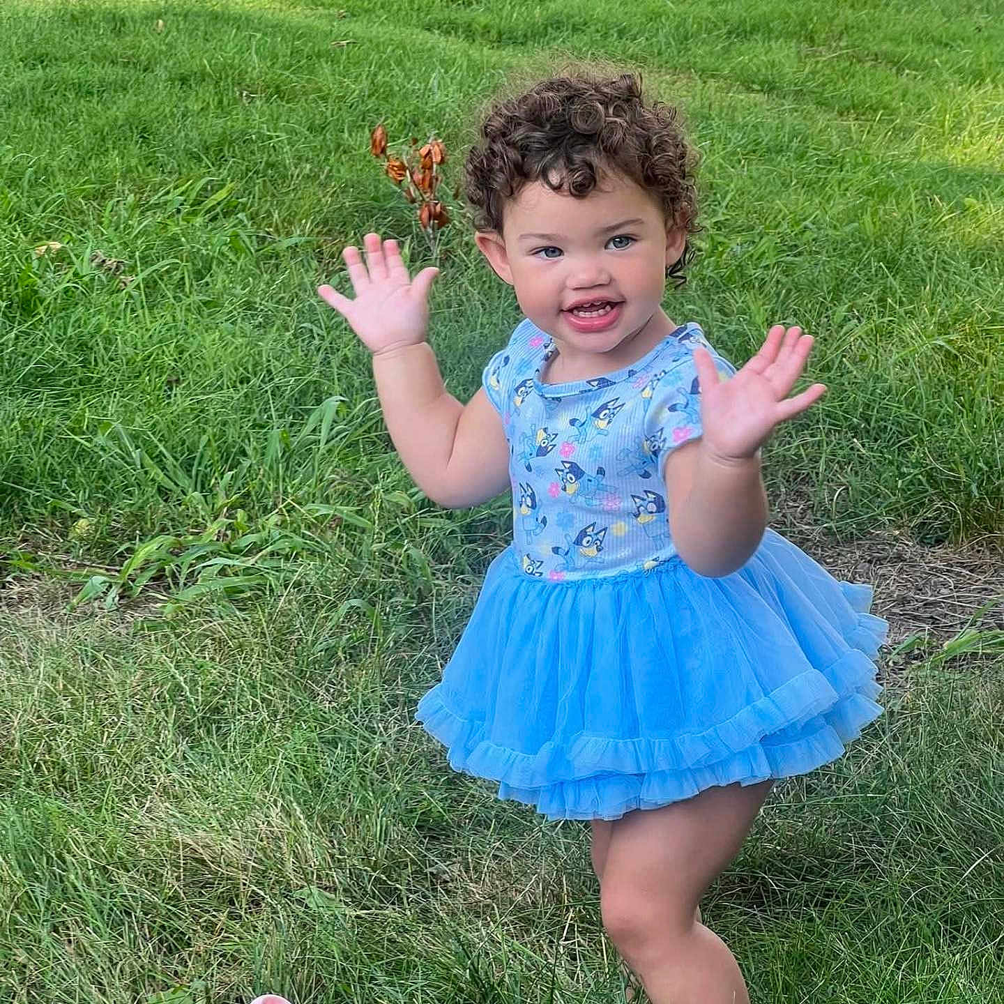 Ailana joined the competition — help win amazing prizes! barefoot, blue_dress, child, curly_hair, cute, dancing, grass, greenery, happy, nature, outdoor, park, person, playful, smiling, summer, toddler, toy, tutu, young_child