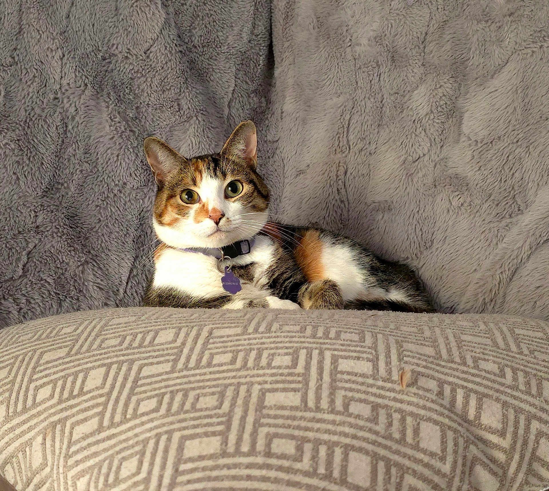 Linda
