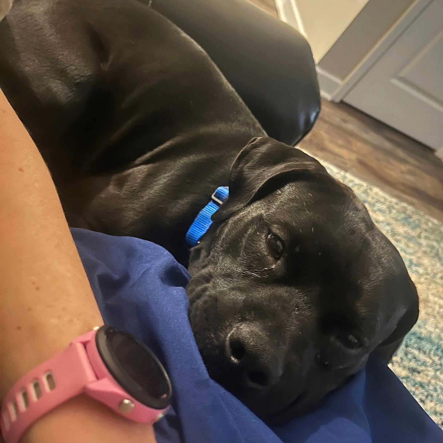 Finn