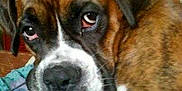 Elliot participe au concours pour gagner de l'argent avec cette photo :