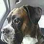 Elliot participe au concours pour gagner de l'argent avec cette photo :