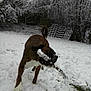 Elliot participe au concours pour gagner de l'argent avec cette photo :