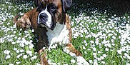 Elliot participe au concours pour gagner de l'argent avec cette photo :