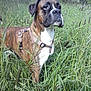 Elliot participe au concours pour gagner de l'argent avec cette photo :
