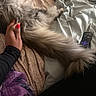 dog, small_dog, fluffy, long_hair, white_fur, brown_fur, pet, sleeping, lying_down, belly_rub, bed, blanket, pillows, bedroom, cozy, relaxed, remote_control, hand, red_nails, indoor