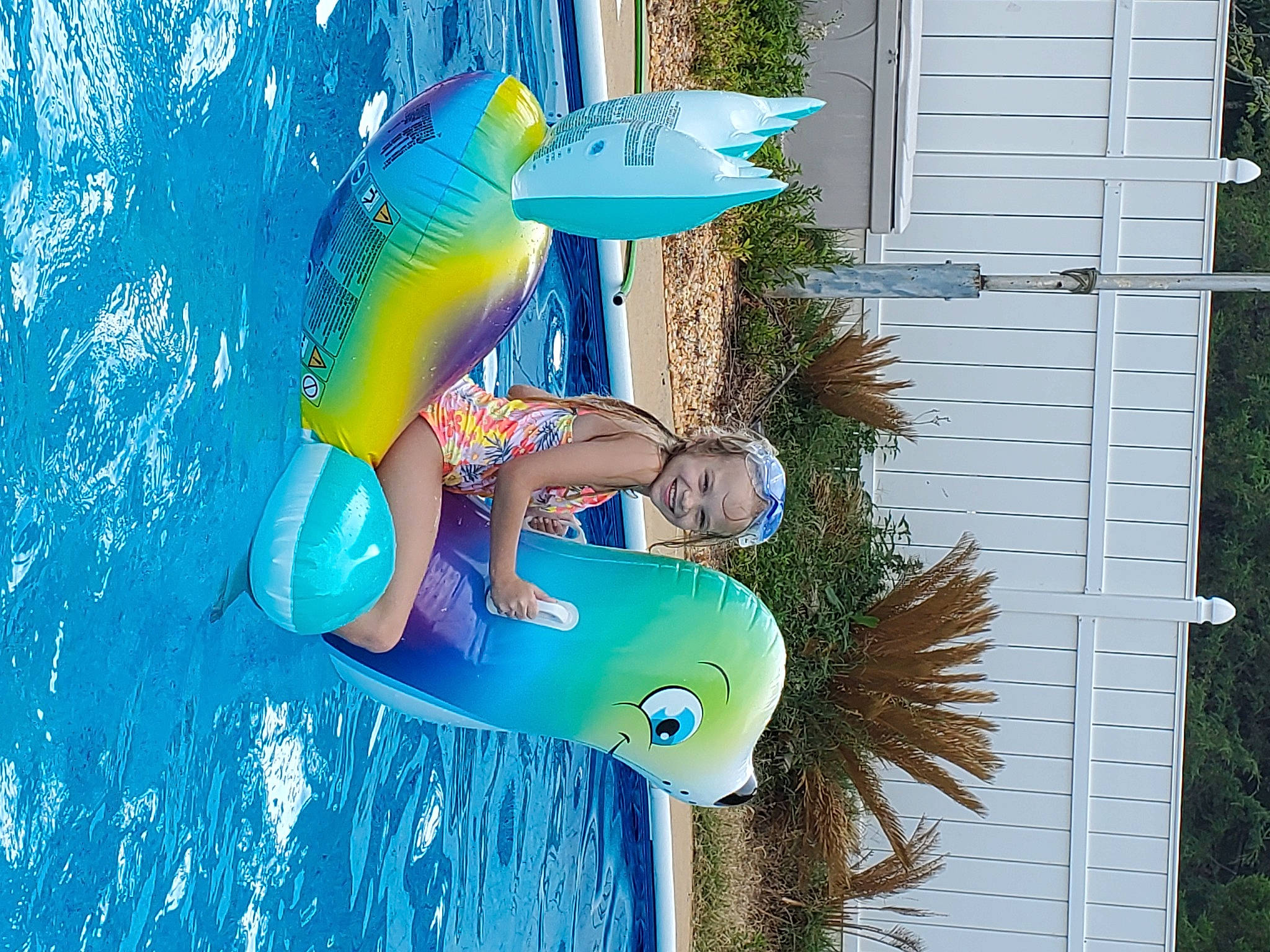 Paisleigh joined the competition — help win amazing prizes! azure, blue, electric_blue, fin, fish, fun, grass, green, happy, headwear, joy, leisure, organism, people_in_nature, person, plant, recreation, tail, toy, tree