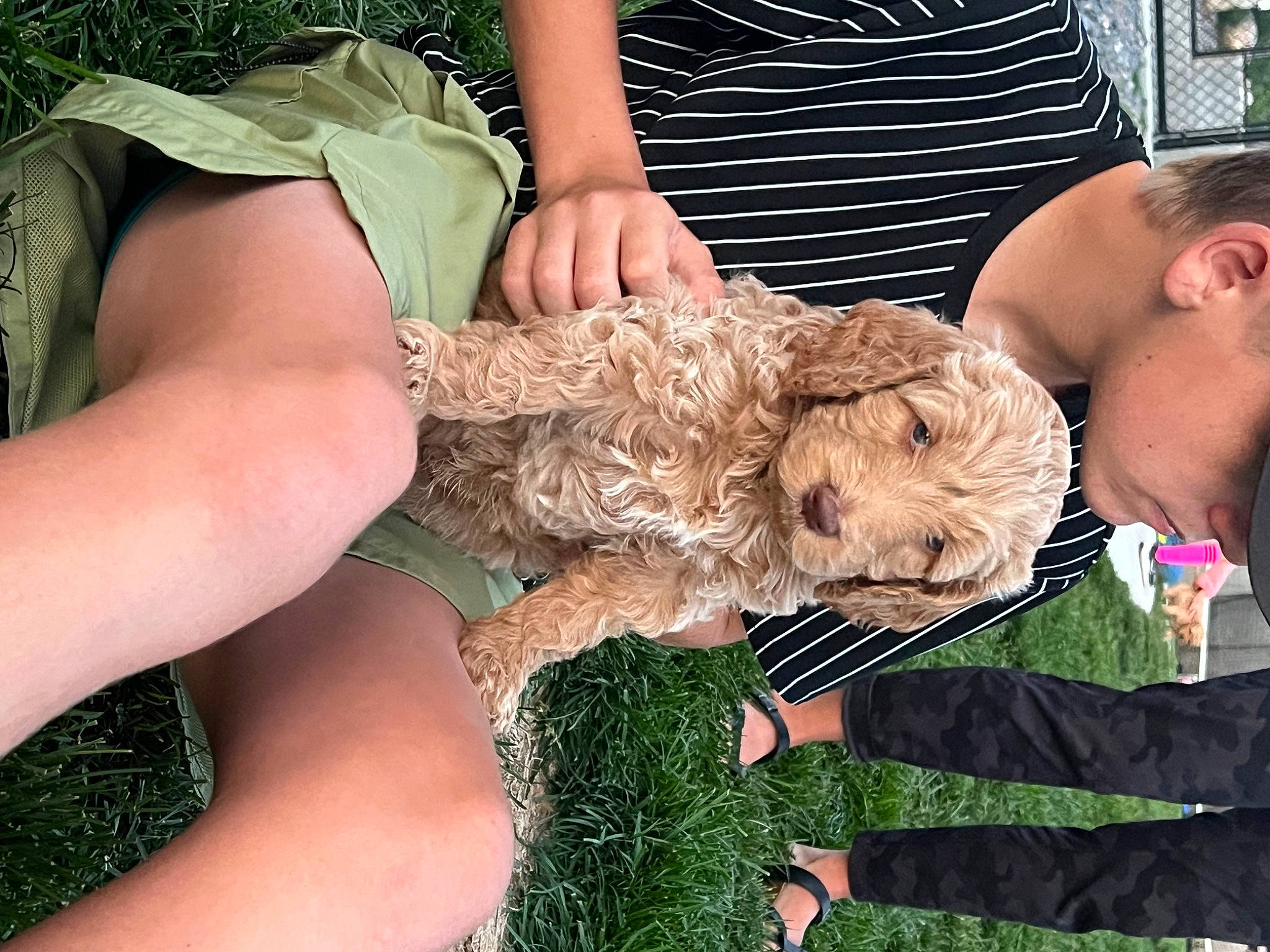 Ollie joined the competition — help win amazing prizes! event, fun, fur, gesture, grass, happy, military_camouflage, pattern, people_in_nature, plant, soil, thumb, tree, wrist