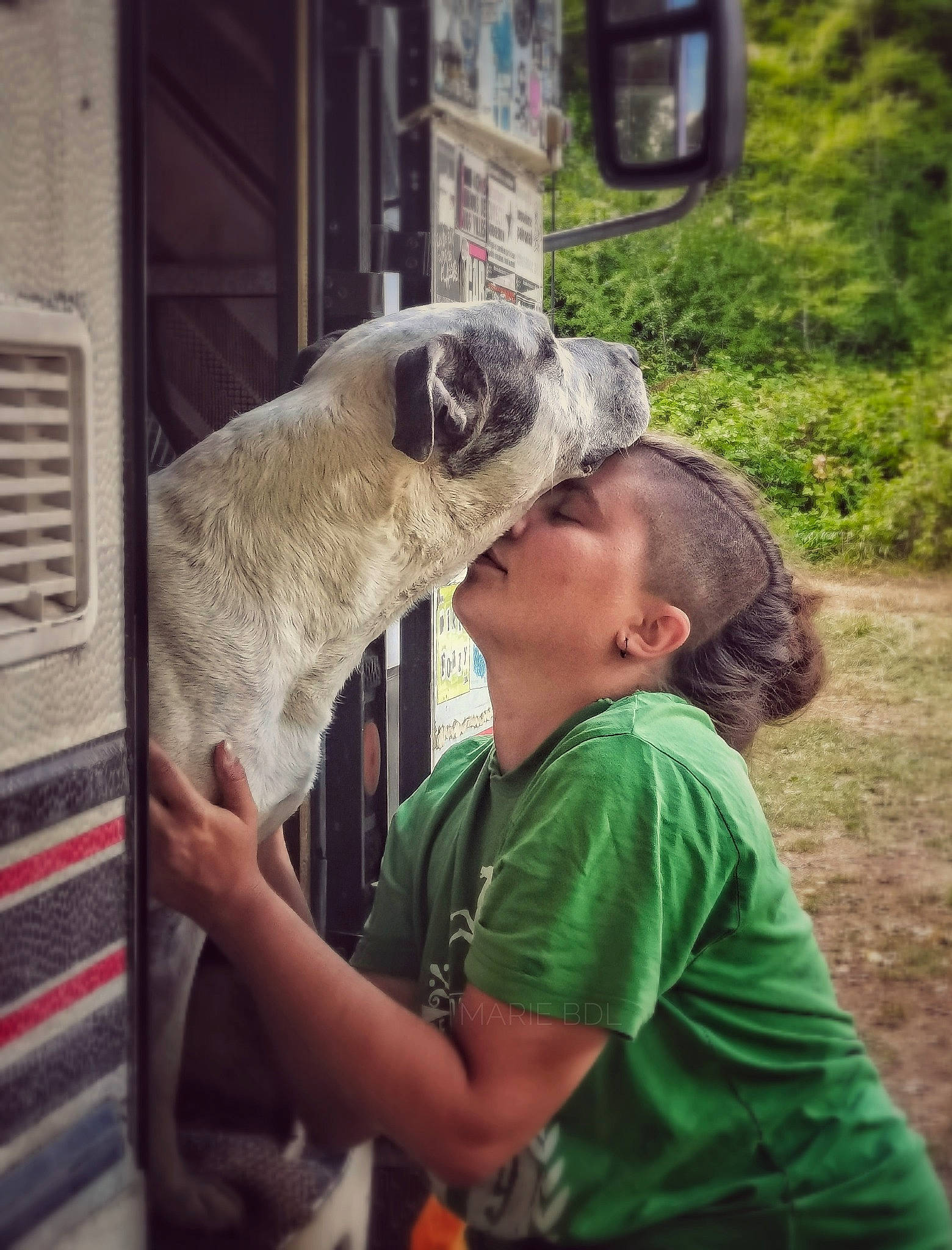 Pako participe au concours pour gagner de l'argent avec cette photo : canidae, carnivore, companion_dog, dog, dog_breed, fawn, felidae, fur, hat, plant, snout, sporting_group, sunglasses, t_shirt, tree, wildlife, wildlife_biologist, working_animal