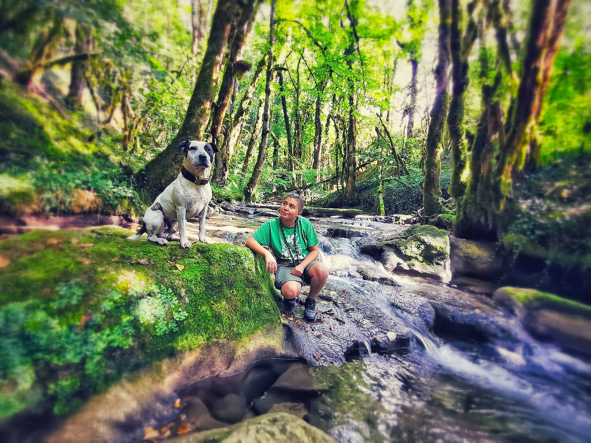 Pako participe au concours pour gagner de l'argent avec cette photo : bank, creek, forest, grass, jungle, landscape, leisure, natural_landscape, people_in_nature, plant, plant_community, recreation, riparian_zone, stream, temperate_broadleaf_and_mixed_forest, tree, trunk, watercourse, wood, woodland