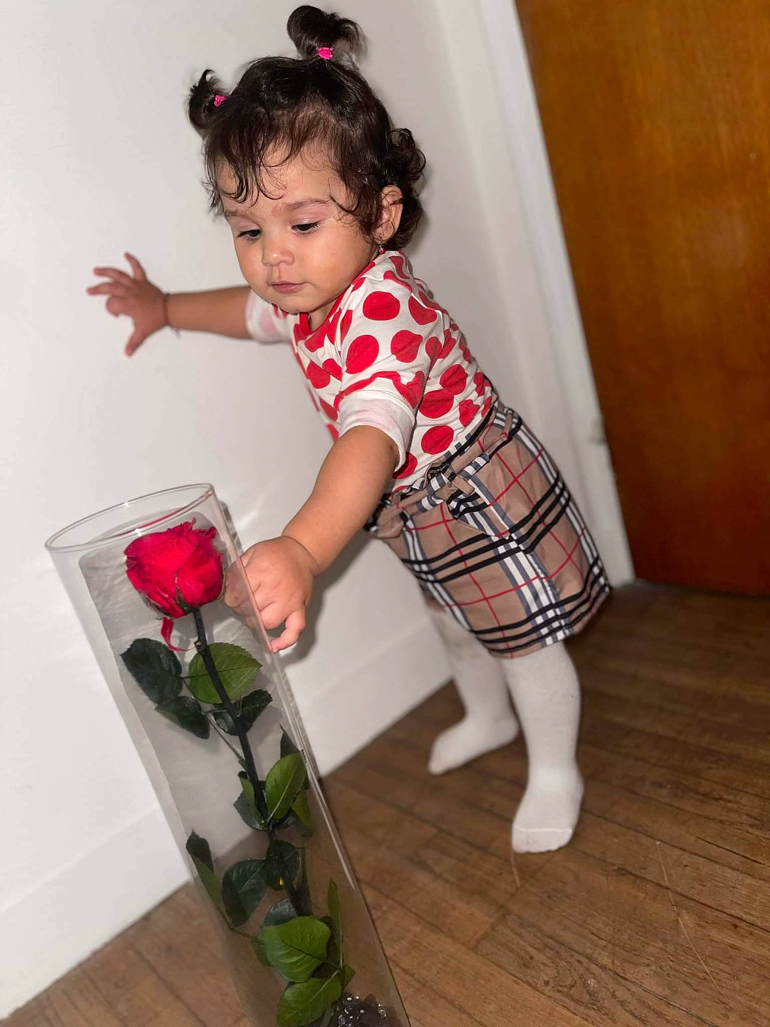 Ava participe au concours pour gagner de l'argent avec cette photo : arm, baby_toddler_clothing, dress, face, flower, flowerpot, hair, hairstyle, human_body, joint, knee, neck, person, pink, plant, shorts, shoulder, skin, sleeve, textile