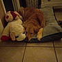 dog, golden_retriever, sleeping, bed, stuffed_animal, plush_toy, indoor, home, tile_floor, cushion, drawer, resting, pet, animal, cozy, quiet, floor, fur, relaxation, comfort