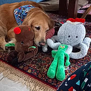 Lilly is registered to the contest to win money with this photo: bandana, blue_couch, carpet, cozy, dog, festive, floor, furniture, golden_retriever, gumby, holiday, indoor, octopus, patterned_rug, pet, plush_toy, reindeer, relaxed, rug, toy