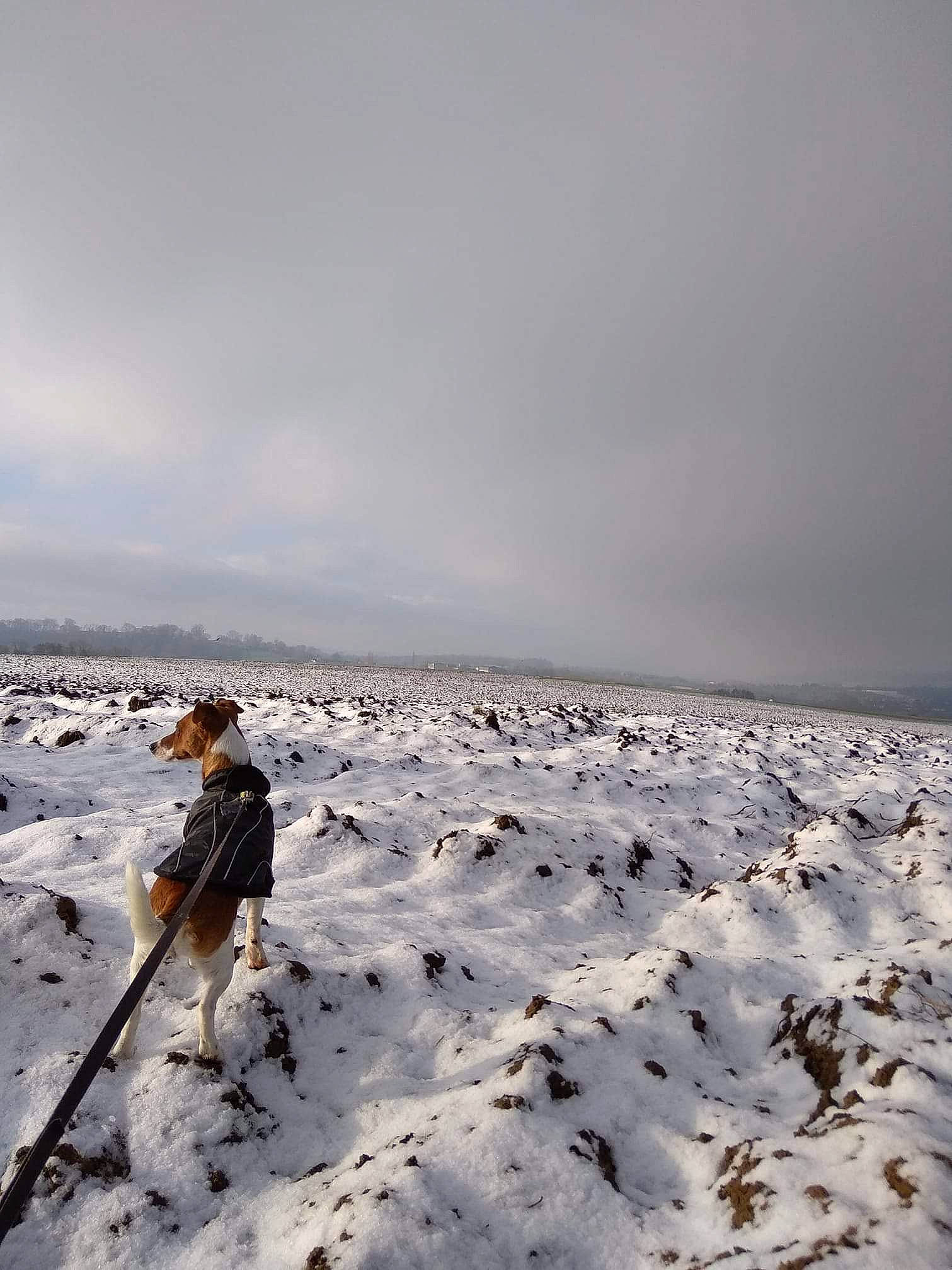 Nina a rejoint le concours — aidez-le/la à gagner de superbes lots ! arctic, beach, coast, fun, horizon, ocean, sea, shore, sky, snow, vacation, wave, winter