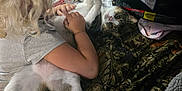 Allison is registered to the contest to win money with this photo: animal, blanket, blonde_hair, car_seat, cat, child, curly_hair, cute, floor, furniture, home, indoor, interaction, patterned, person, pet, playing, relaxed, soft_light, young