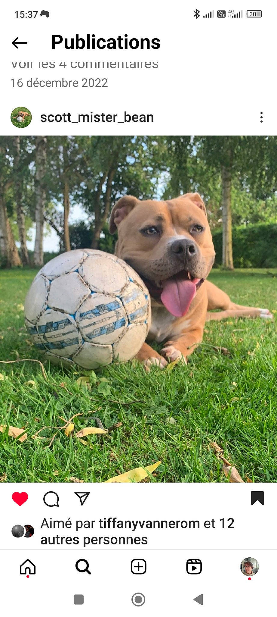 Scott participe au concours pour gagner de l'argent avec cette photo : ball, ball_game, carnivore, companion_dog, dog, dog_breed, football, grass, happy, house, lawn, photo_caption, plant, play, soccer, soccer_ball, sports_equipment, sports_toy, team_sport, toy