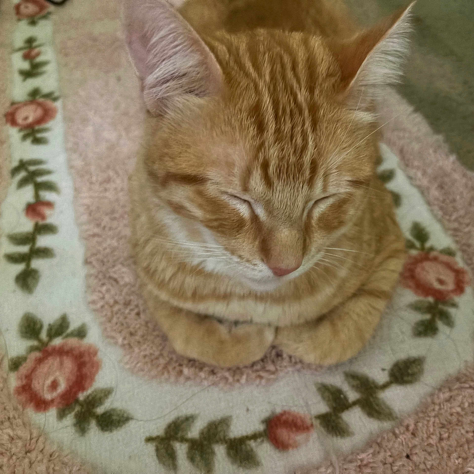 Oliver