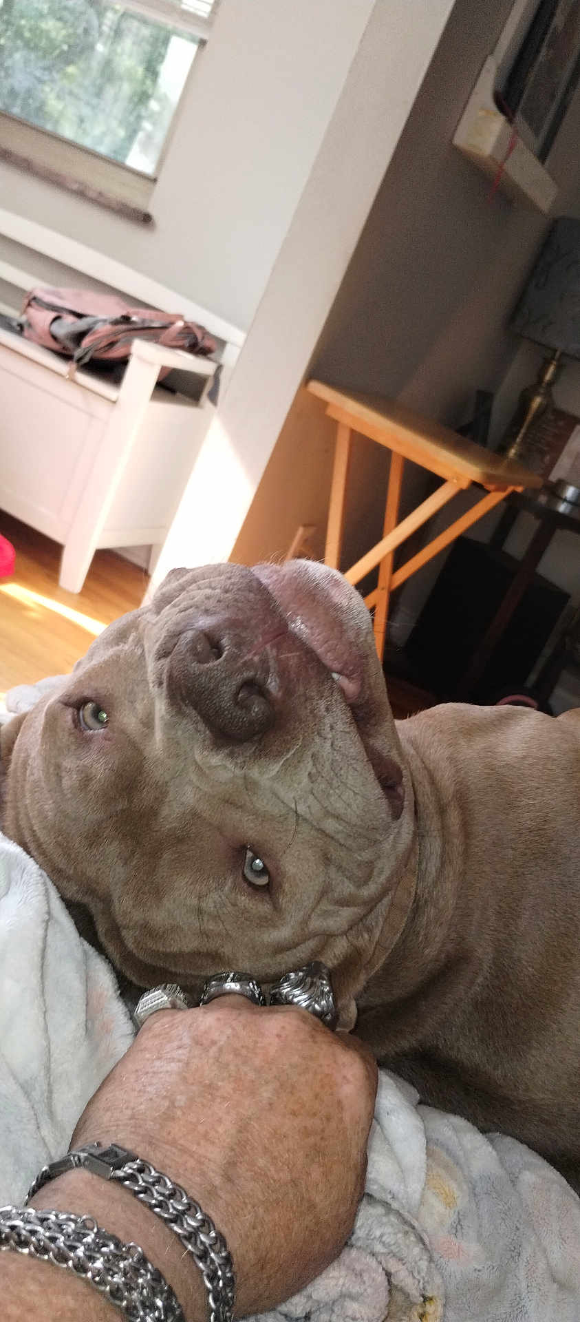 Roscoe