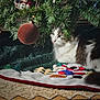 Scarlett is registered to the contest to win money with this photo: cat, christmas_tree, ornament, tree_skirt, carpet, indoor, holiday, decorations, feline, greenery, festive, animal, pet, white_fur, tabby, relaxed, closeup, shadow, texture, soft_light