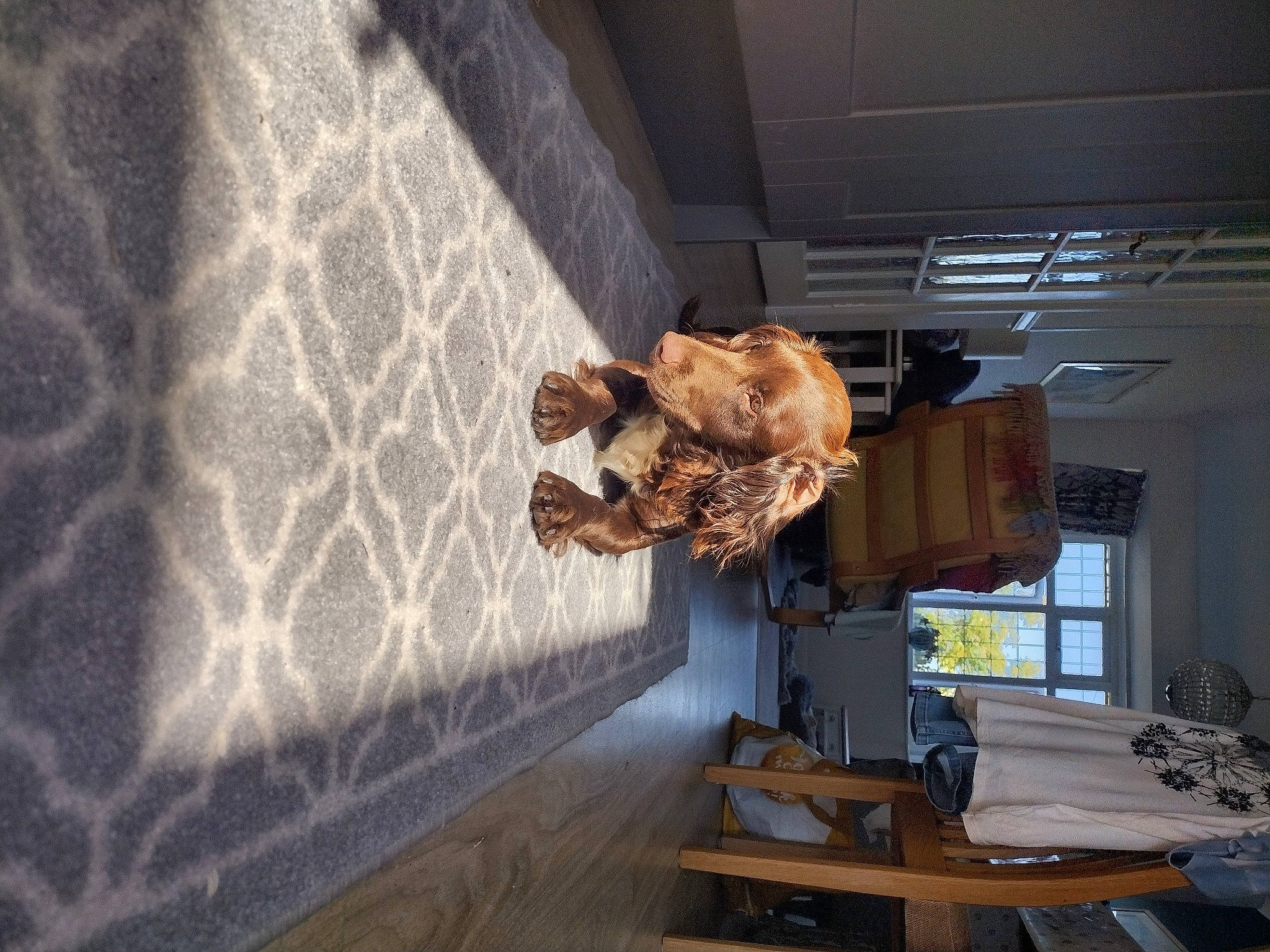 Ivy joined the competition — help win amazing prizes! art, beam, building, ceiling, concrete, daylighting, desk, floor, flooring, hardwood, house, machine, plant, room, shadow, table, visual_arts, window, wood