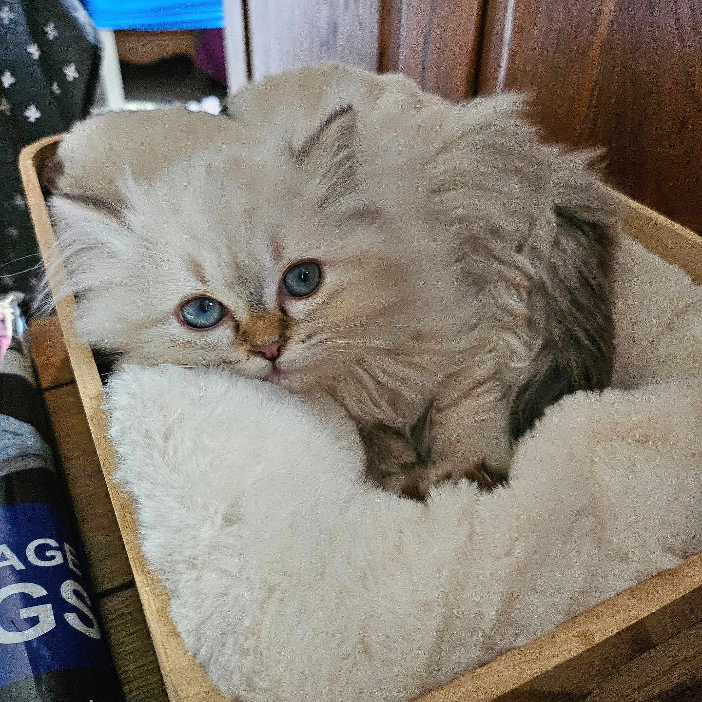 Luna