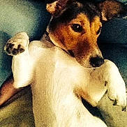 Luna a rejoint le concours — aidez-le/la à gagner de superbes lots !