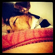 Luna a rejoint le concours — aidez-le/la à gagner de superbes lots !