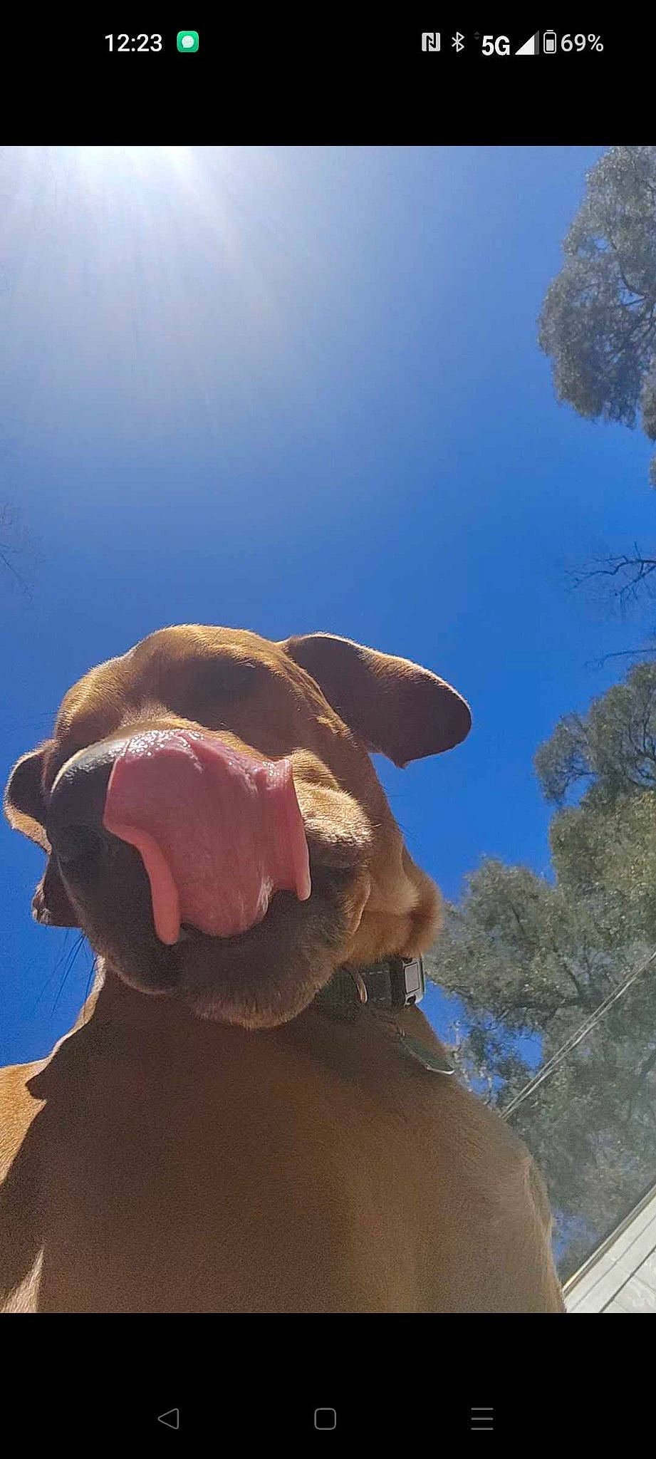 Ready joined the competition — help win amazing prizes! aeolian_landform, badlands, camel, fawn, landscape, monument, plant, rock, sculpture, shadow, sky, soil, tints_and_shades, tree, wildlife, winter, working_animal